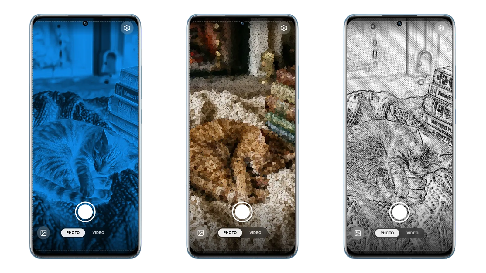 猫咪的素描与半色调特效