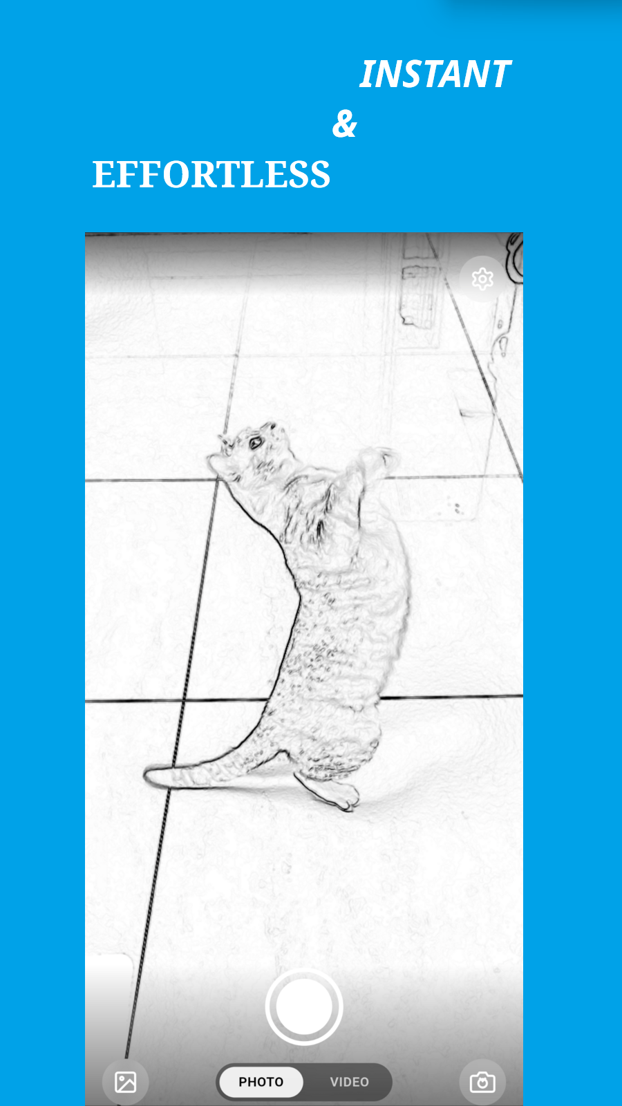 map[class:w-full h-auto object-cover src:feature3.png]